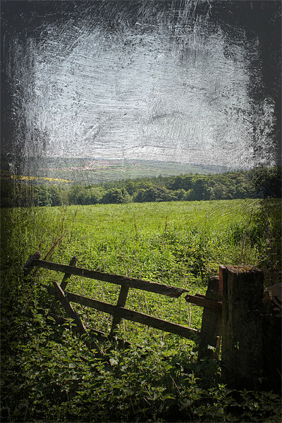 Broken Gate Yorkshire Picture Board by Dan Davidson