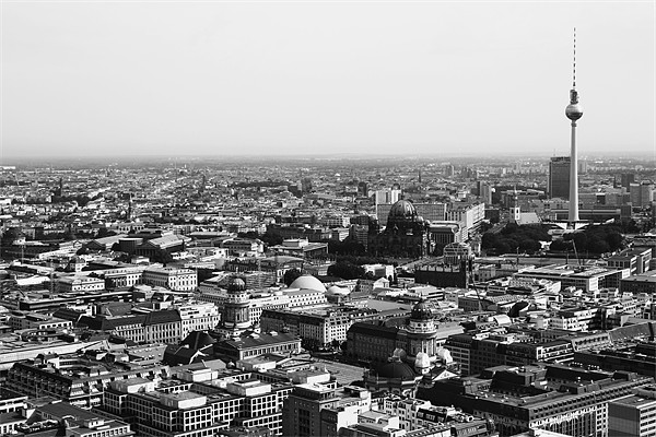 Aerial Berlin black and white Picture Board by Dan Davidson