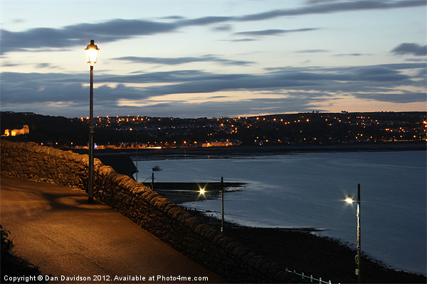 Swansea Bay from Mumbles Picture Board by Dan Davidson