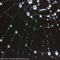 Buy canvas prints of spider web bokeh by Dan Davidson
