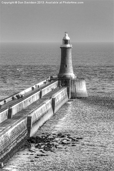 Tynemouth Pier Lighthouse Picture Board by Dan Davidson