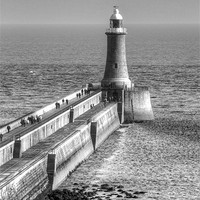 Buy canvas prints of Tynemouth Pier Lighthouse by Dan Davidson