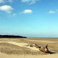Buy canvas prints of Driftwood at Broughton by Dan Davidson