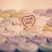 Buy canvas prints of Love Bug by Dan Davidson