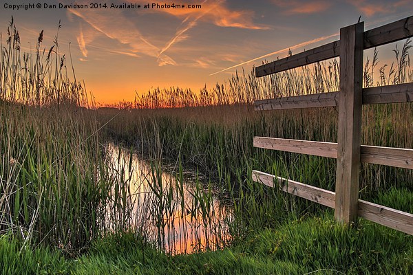 Norfolk sunset Picture Board by Dan Davidson
