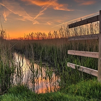 Buy canvas prints of Norfolk sunset by Dan Davidson