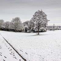 Buy canvas prints of Milton Keynes Snow by Dan Davidson