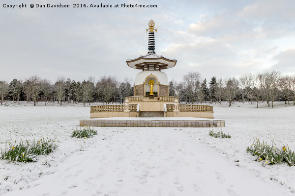 Wintery Peace Pagoda Picture Board by Dan Davidson