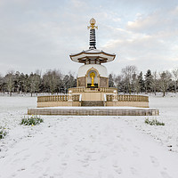 Buy canvas prints of Wintery Peace Pagoda by Dan Davidson