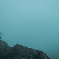 Buy canvas prints of Idwal Tree by Dan Davidson