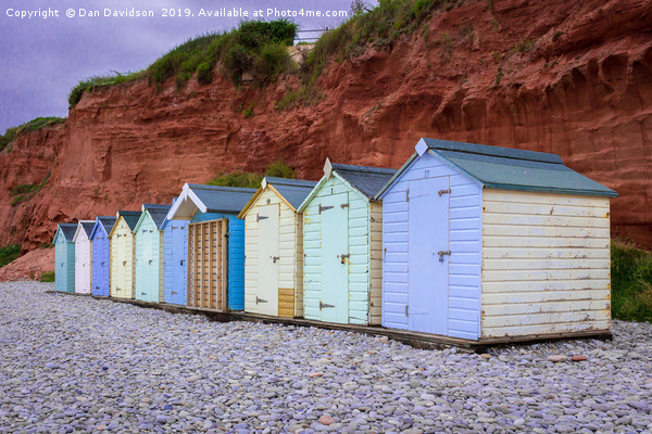 Budleigh Beach Huts Picture Board by Dan Davidson