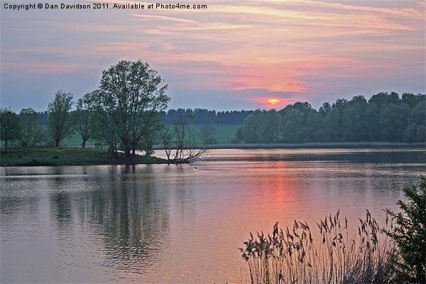 Willen Lake Sunset Picture Board by Dan Davidson