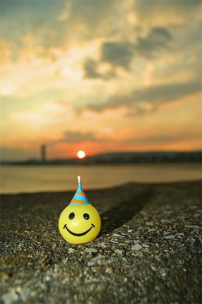 Happy at Sunset in Swansea Picture Board by Dan Davidson