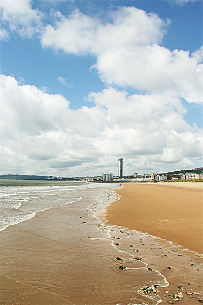 Swansea Beach at midday Picture Board by Dan Davidson