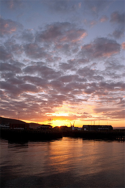 Swansea Docks at Sunrise Picture Board by Dan Davidson