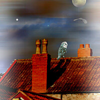 Buy canvas prints of Rooftop Buddies by Heather Goodwin