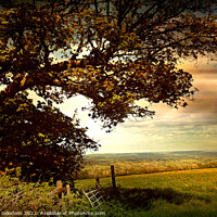Buy canvas prints of Blagdon Fields by Heather Goodwin