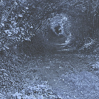 Buy canvas prints of Dark Lane at Night. by Heather Goodwin