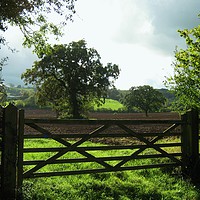 Buy canvas prints of 4 Acre Field from the old Five Barred Gate by Heather Goodwin