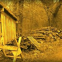 Buy canvas prints of Woodsman,s Workshop. by Heather Goodwin