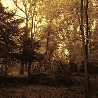 Buy canvas prints of Camp in the woods. by Heather Goodwin
