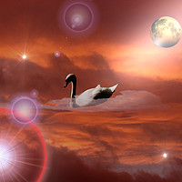 Buy canvas prints of Sky Swanning! by Heather Goodwin