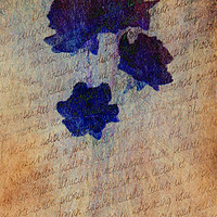 Buy canvas prints of Petit Fleur en Bleu. by Heather Goodwin