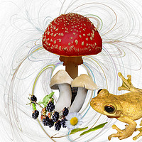 Buy canvas prints of Mr Frog and the Toadstool. by Heather Goodwin