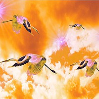 Buy canvas prints of Dance of the Heron and Nebulae. by Heather Goodwin