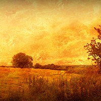 Buy canvas prints of Autumn - Dundry Fields, Somerset. by Heather Goodwin