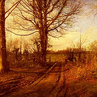Buy canvas prints of Homestead Farm Trackway. by Heather Goodwin