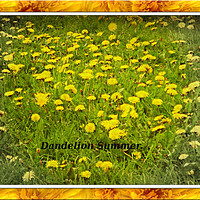 Buy canvas prints of Dandelion Summer. by Heather Goodwin