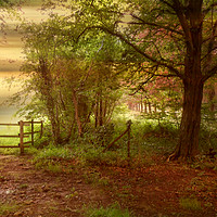 Buy canvas prints of Early Morning. by Heather Goodwin