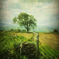 Buy canvas prints of  Jacob's Field. by Heather Goodwin