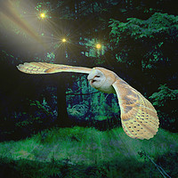 Buy canvas prints of  Night Owl. by Heather Goodwin