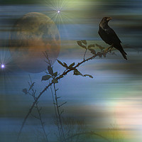 Buy canvas prints of  Raven's Dawn. by Heather Goodwin