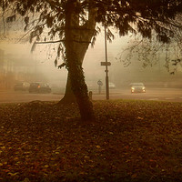 Buy canvas prints of  Urban Fog. by Heather Goodwin