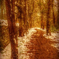 Buy canvas prints of  Frosty Paths. by Heather Goodwin