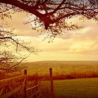 Buy canvas prints of  Looking  Across Blagdon. by Heather Goodwin