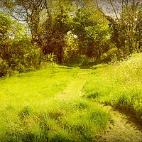 Buy canvas prints of  The Green Path. by Heather Goodwin