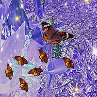 Buy canvas prints of  Butterfly Squadron. by Heather Goodwin