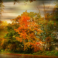 Buy canvas prints of  Colour Me Autumn. by Heather Goodwin