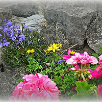 Buy canvas prints of Rock Garden. by Heather Goodwin