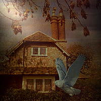 Buy canvas prints of The Wise Woman's Cottage. by Heather Goodwin