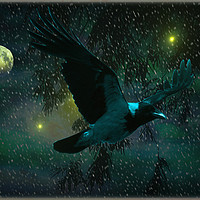 Buy canvas prints of Dark Moon. by Heather Goodwin