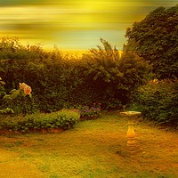 Buy canvas prints of Susie's Garden. by Heather Goodwin