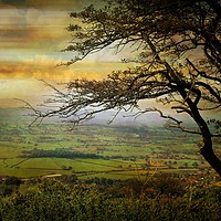 Buy canvas prints of The Somerset Vale. by Heather Goodwin