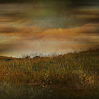 Buy canvas prints of Grasslands. by Heather Goodwin