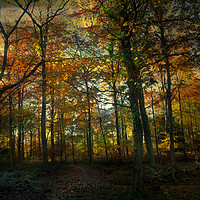 Buy canvas prints of Autumn to Winter. by Heather Goodwin