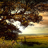 Buy canvas prints of Blagdon Top  Field. by Heather Goodwin